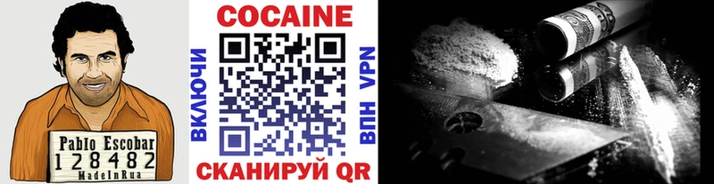 COCAIN FishScale  купить закладку  Могоча 